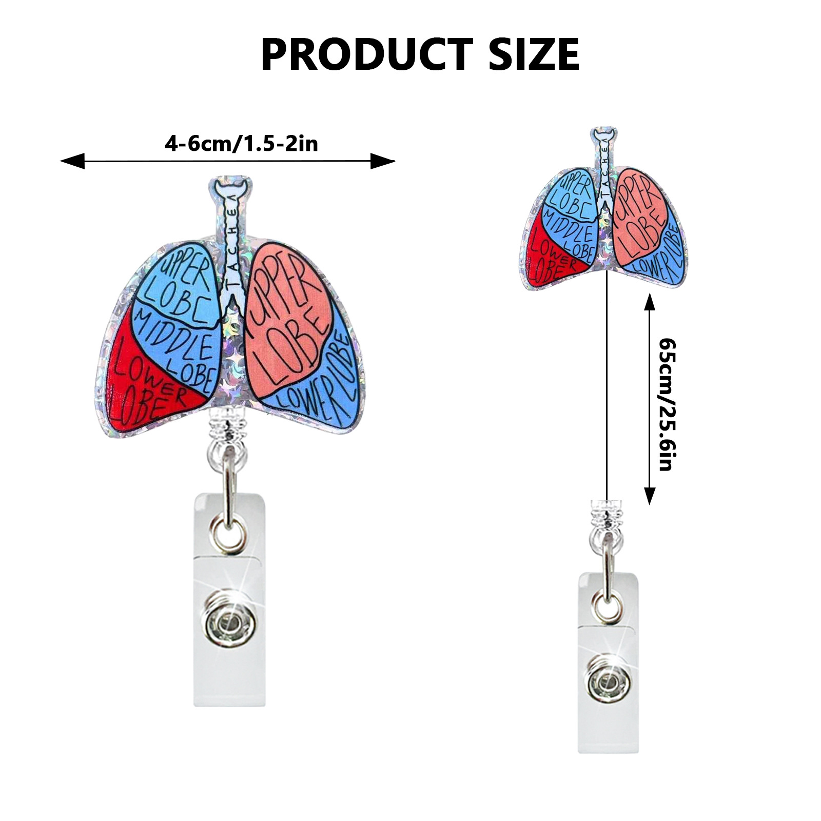 Creative Acrylic Heart Lung Br - Xray Tech Accessories avaliação e preço